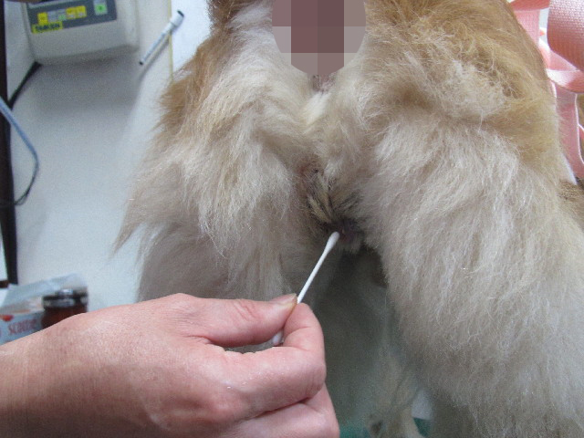 ファイル 2497-3.jpg