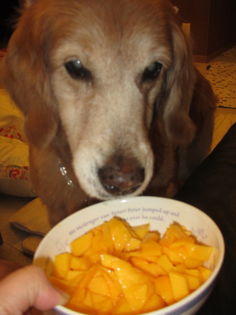 ファイル 2497-5.jpg