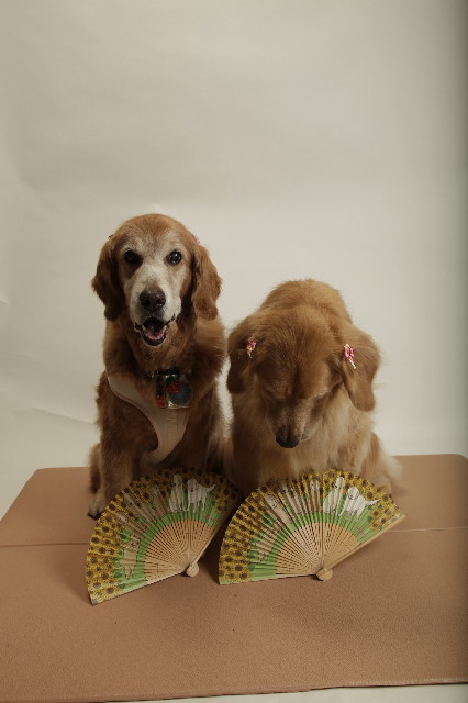 ファイル 2498-5.jpg