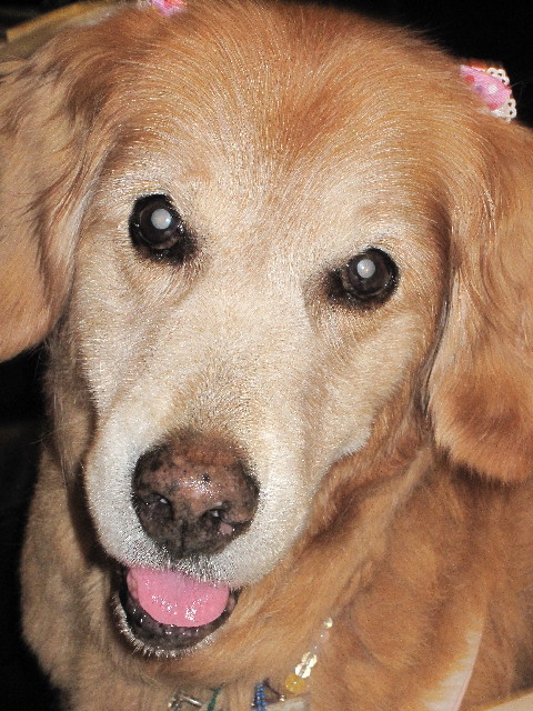 ファイル 2499-1.jpg