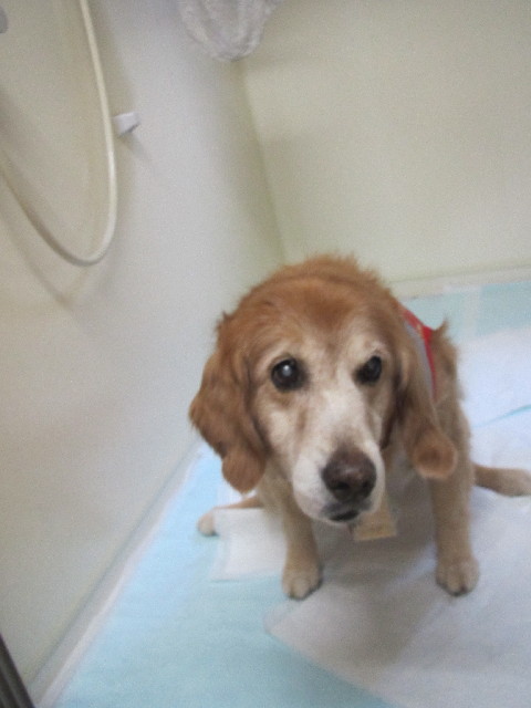 ファイル 2499-4.jpg