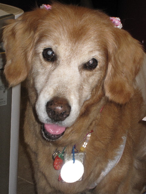 ファイル 2499-5.jpg