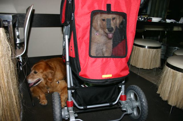 ファイル 25-1.jpg