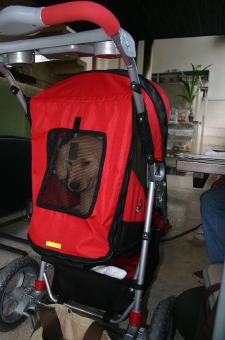 ファイル 25-2.jpg