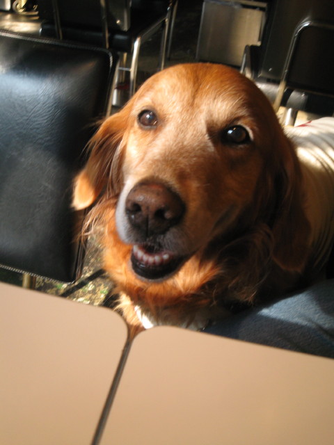 ファイル 250-1.jpg