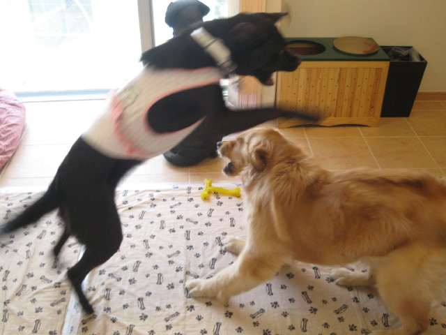 ファイル 250-3.jpg