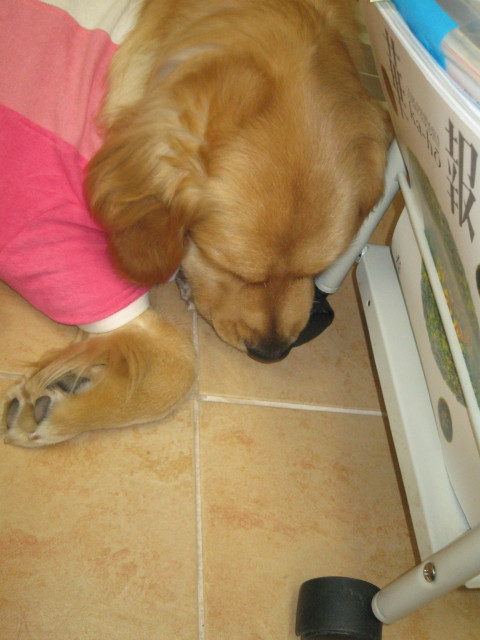 ファイル 250-4.jpg