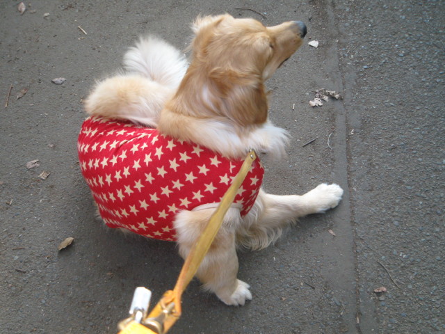 ファイル 250-5.jpg