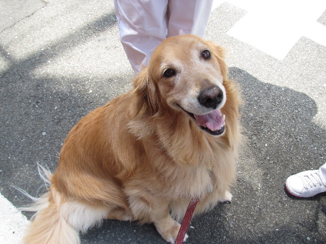 ファイル 2500-3.jpg