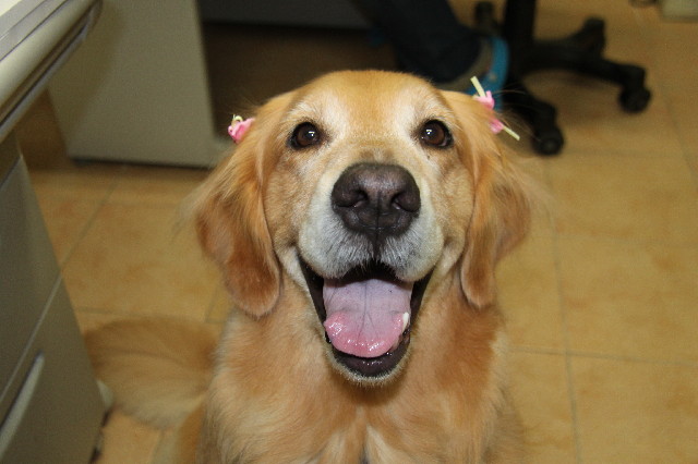 ファイル 2500-4.jpg