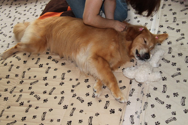 ファイル 2501-3.jpg