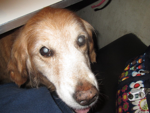 ファイル 2502-2.jpg