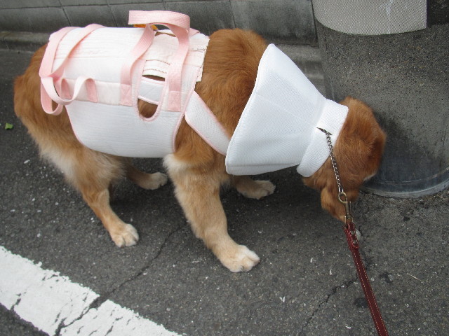 ファイル 2502-4.jpg