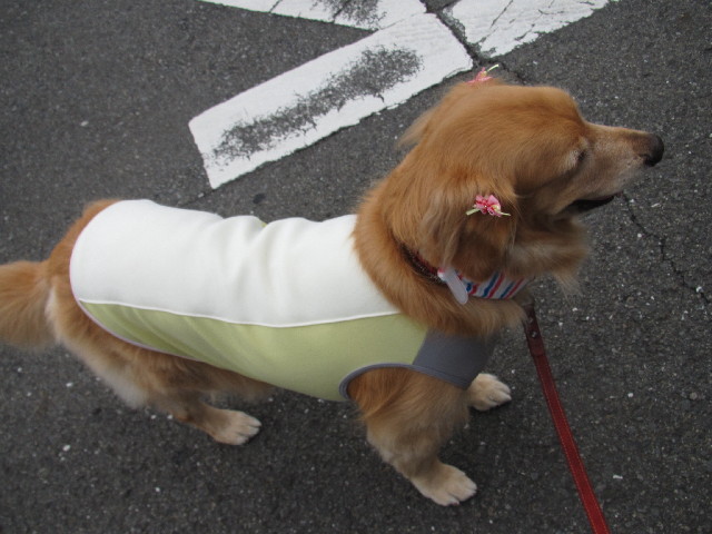 ファイル 2502-5.jpg