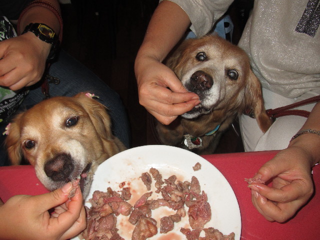 ファイル 2503-2.jpg