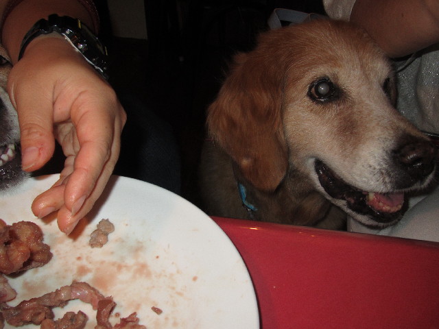 ファイル 2503-3.jpg