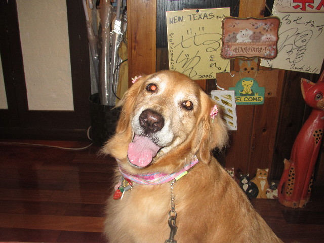 ファイル 2503-4.jpg