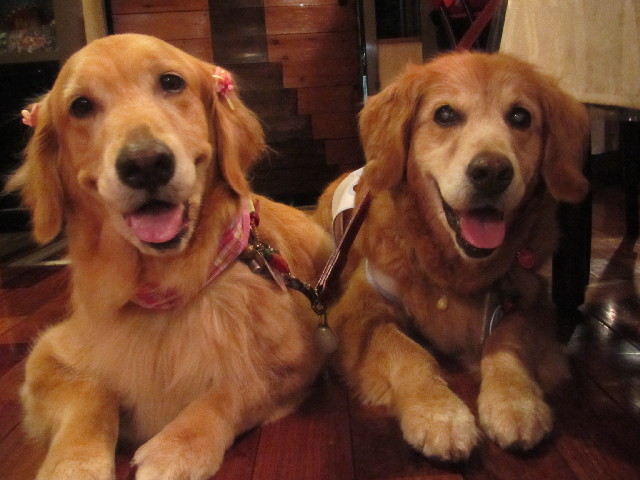 ファイル 2503-5.jpg