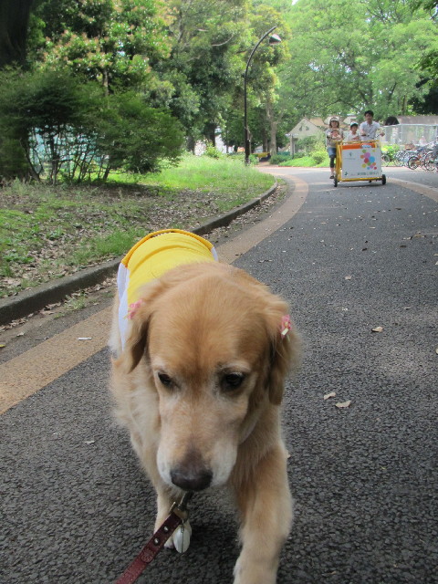 ファイル 2504-1.jpg