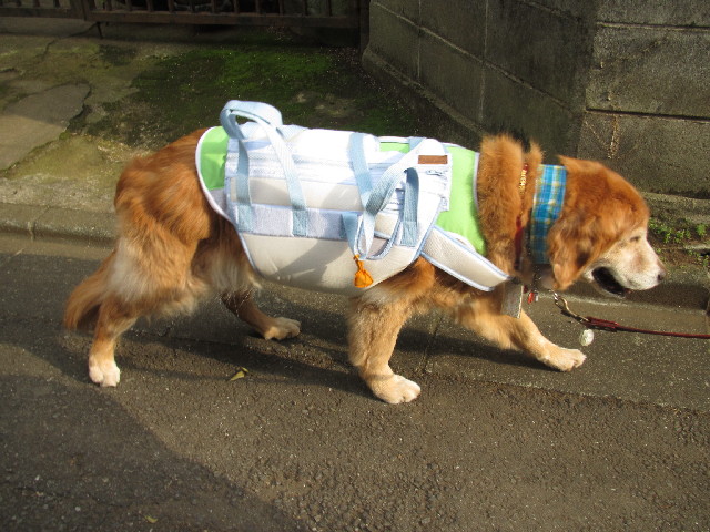 ファイル 2507-3.jpg