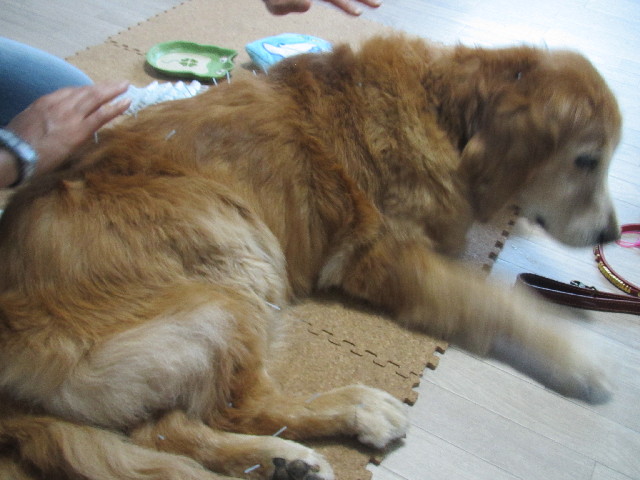 ファイル 2509-2.jpg