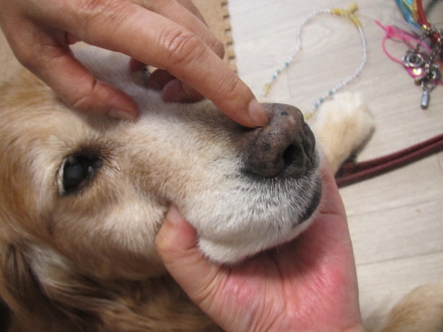 ファイル 2509-3.jpg