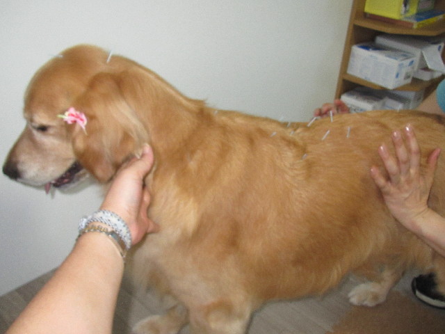 ファイル 2509-4.jpg