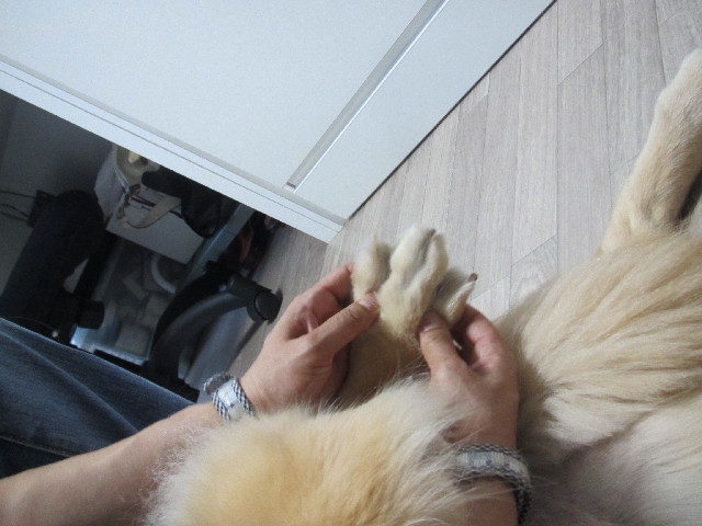 ファイル 2509-5.jpg