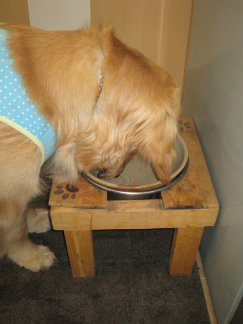 ファイル 251-1.jpg