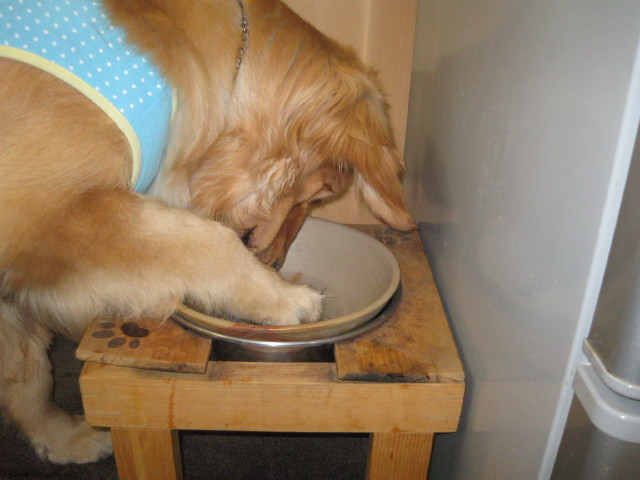 ファイル 251-2.jpg