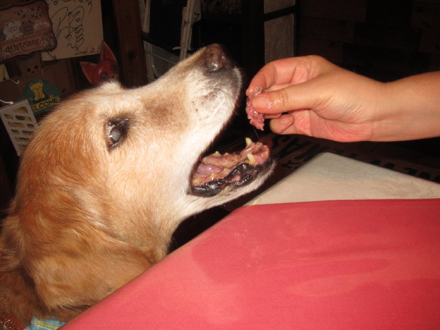 ファイル 2510-4.jpg