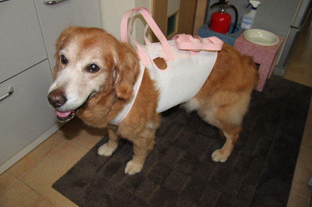 ファイル 2511-4.jpg