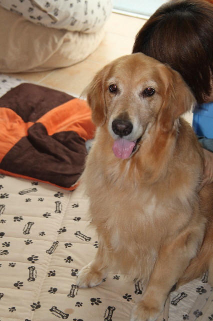 ファイル 2512-3.jpg