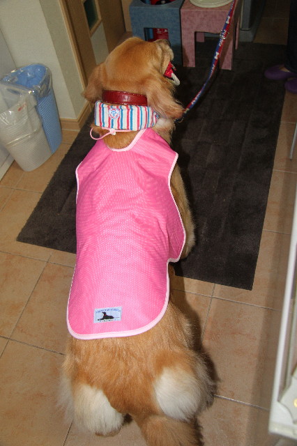 ファイル 2513-1.jpg