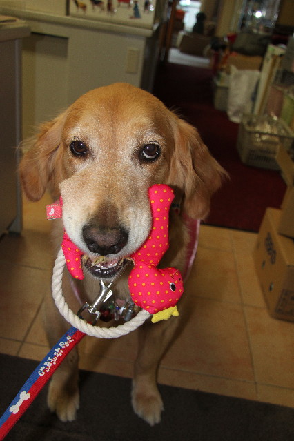 ファイル 2513-2.jpg