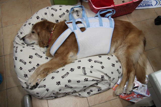 ファイル 2513-3.jpg