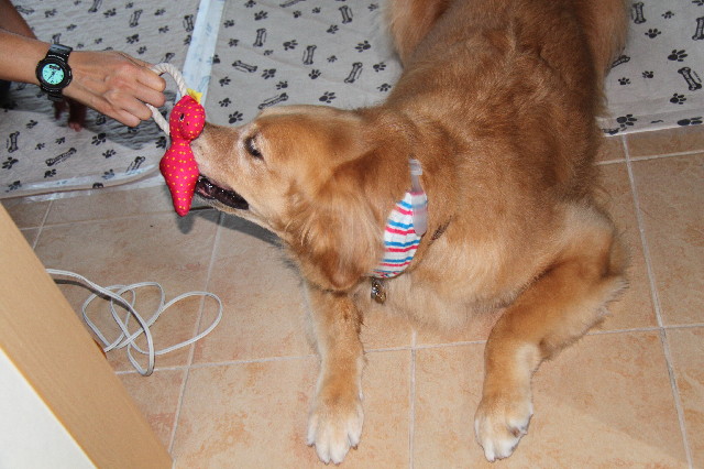 ファイル 2513-4.jpg