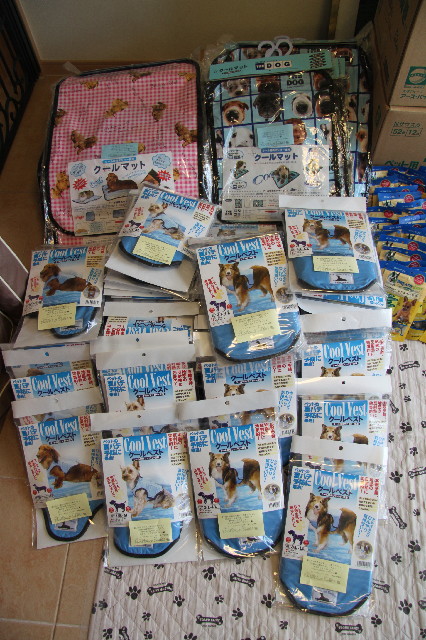 ファイル 2514-2.jpg