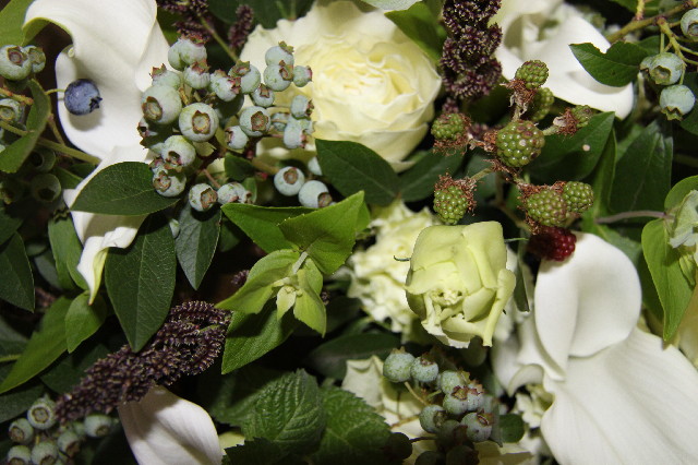 ファイル 2515-1.jpg