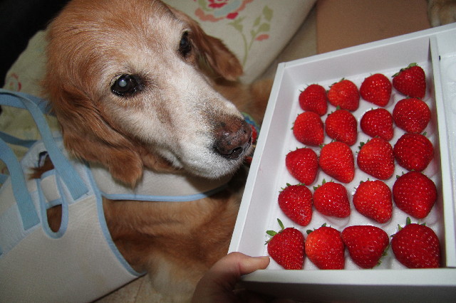 ファイル 2517-3.jpg