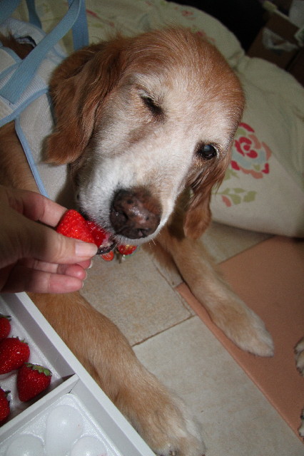 ファイル 2517-4.jpg