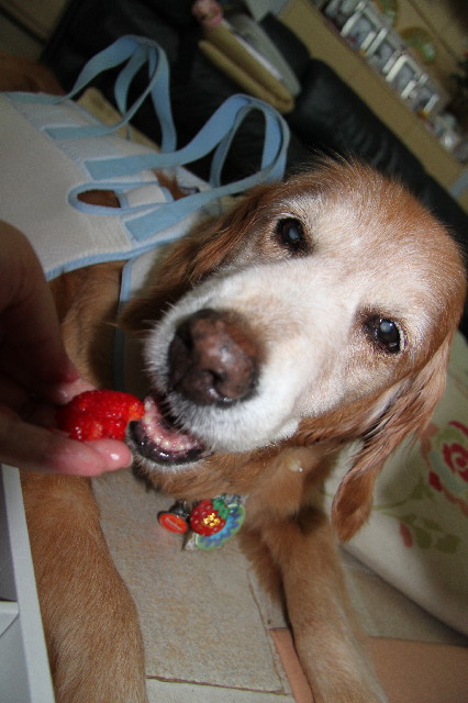 ファイル 2517-5.jpg