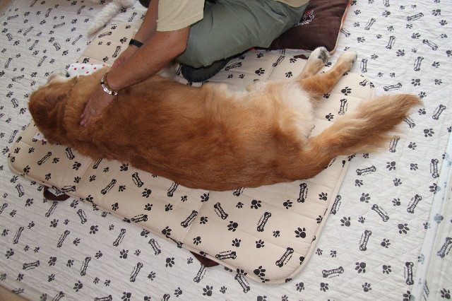 ファイル 2518-1.jpg