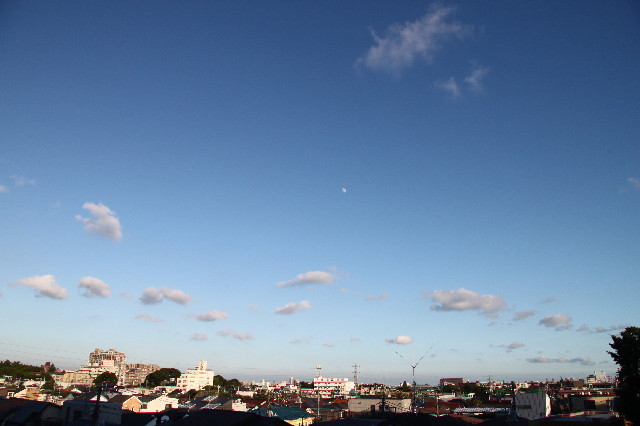 ファイル 2519-1.jpg