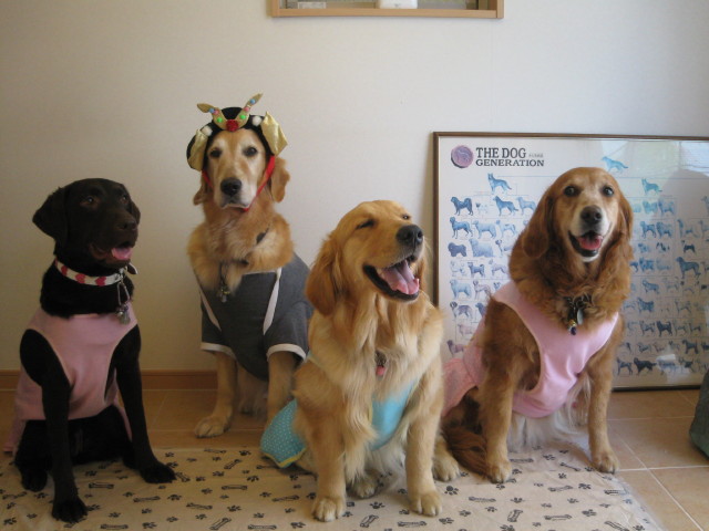 ファイル 252-2.jpg