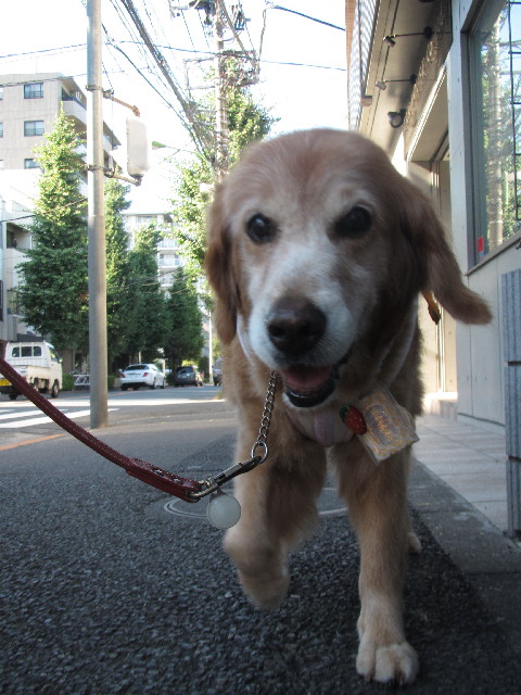 ファイル 2520-4.jpg