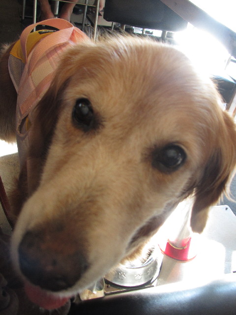 ファイル 2520-5.jpg