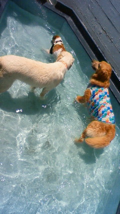 ファイル 2521-3.jpg