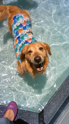 ファイル 2521-4.jpg