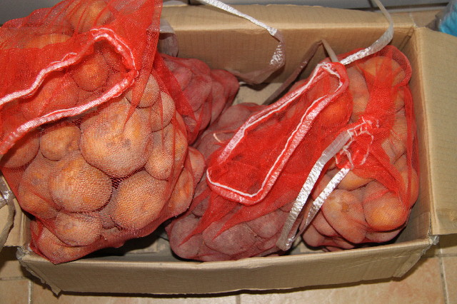 ファイル 2523-2.jpg